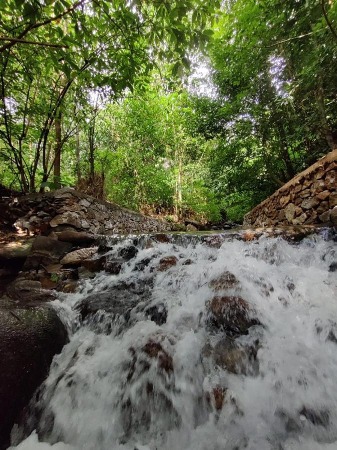 Forest And River Edge Resort Канур Екстериор снимка